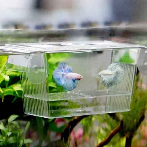 Transparent Acrylic Fish Tank Breeding Isolation Box Aquarium Hatchery Incubator Holder Aquarium Accessories Fish Suppli