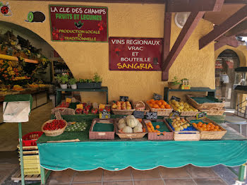 locaux professionnels à Saint-Cyprien (66)