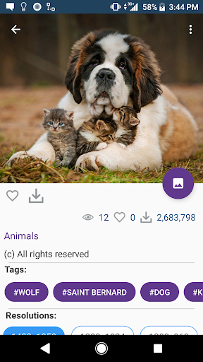 Wallpapers HD  4K Backgrounds