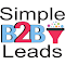 Item logo image for Simple B2B Leads