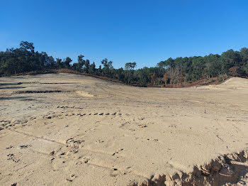 terrain à Labenne (40)