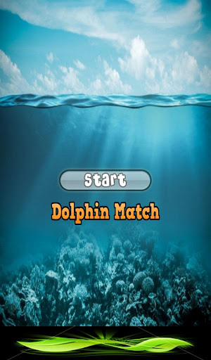 Dolphin Match Game