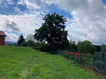 terrain à Belmont-de-la-Loire (42)