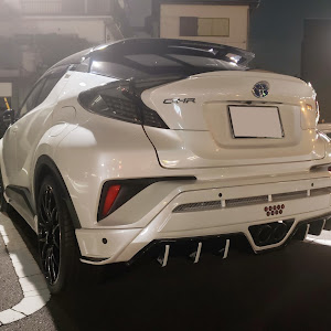 C-HR ZYX10