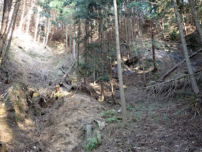 作業道が崩れている