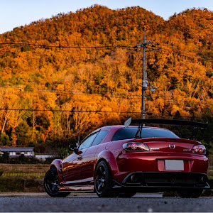 RX-8 SE3P