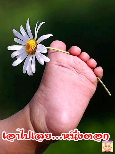 คอมเม้นเฟสบุ๊คกวนๆมาใหม่