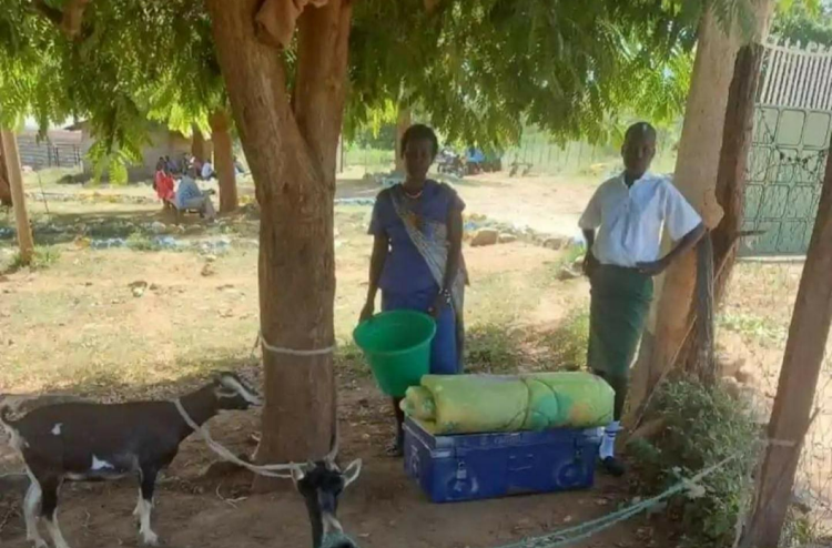 The mother and her daughter pictured with two goats which she hoped would be accepted as school fees to secure the girl Form 1 admission at Queen of Peace Secondary School in Marakwet East.