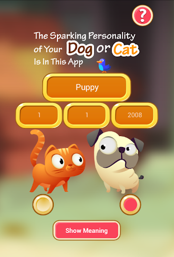 Pet Name Analyzer