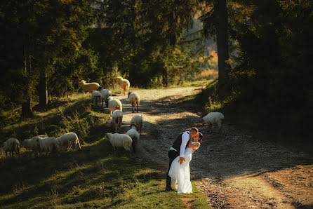 Fotografo di matrimoni Mateusz Marzec (wiosennydesign). Foto del 30 novembre 2021