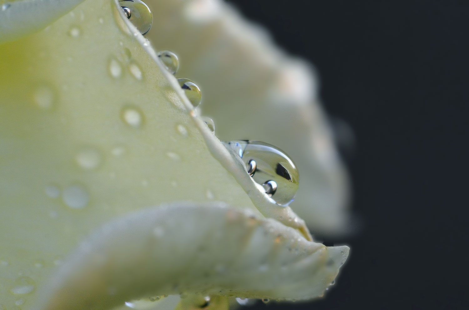 Residui di pioggia di Eric_Draven