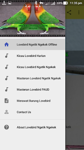 Lovebird Ngetik Ngekek Offline