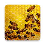 Apiary Book Apk