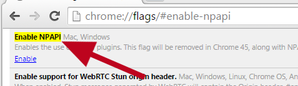 Enable NPAPI Flag Screenshot