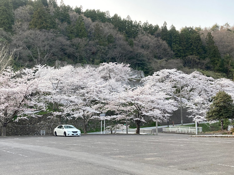 の投稿画像28枚目