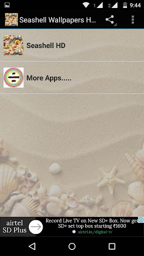 Seashell Wallpapers