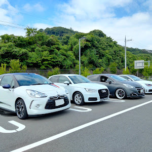 DS3 カブリオ A5CHN01