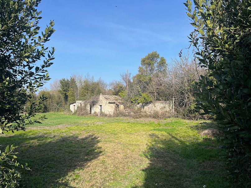 Vente terrain  1453 m² à Saint-Rémy-de-Provence (13210), 670 000 €