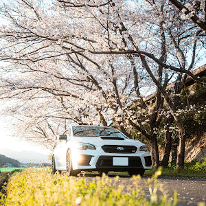 WRX STI VAB