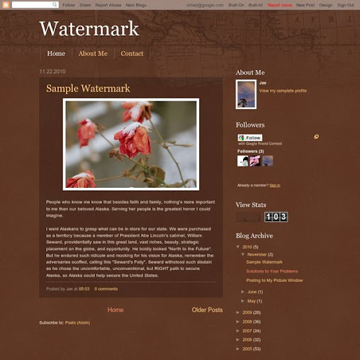 Watermark Navigator