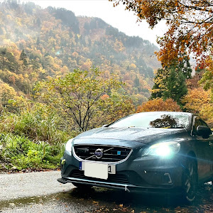 V40 T4