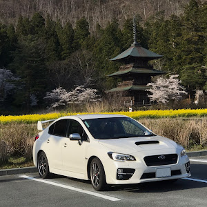 WRX STI VAB