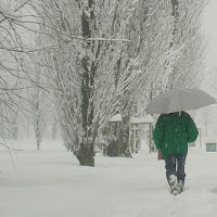 Piove, governo ladro.. di 