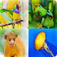 Download Guess The Animals Quiz Games For PC Windows and Mac 3.1.7z