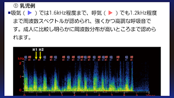 肺の聴診トレーニング－見える肺音 Screenshot