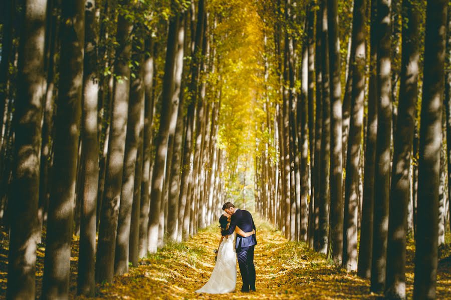 Fotógrafo de casamento Alfonso Azaustre (azaustre). Foto de 8 de janeiro 2016