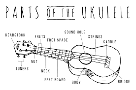 Image result for labeled ukulele