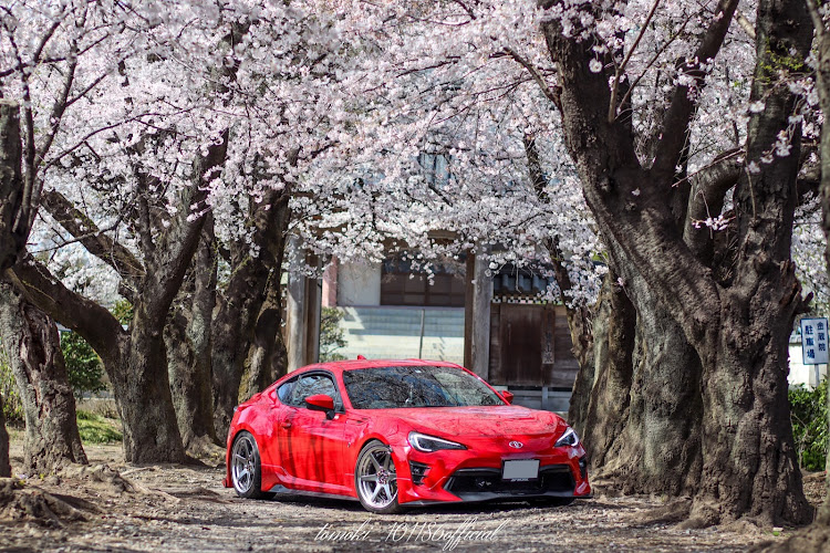 86の86 zn6・赤い86・桜とコラボ🌸・サクラと愛車・桜とコラボに関するカスタム事例の投稿画像1枚目