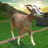 Goat Madness Free1.1