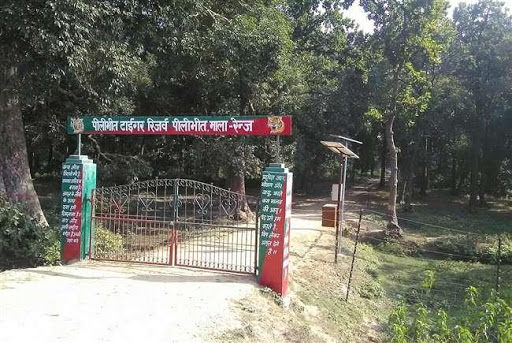 Pilibhit Local News Inshort- Photos  Videos News