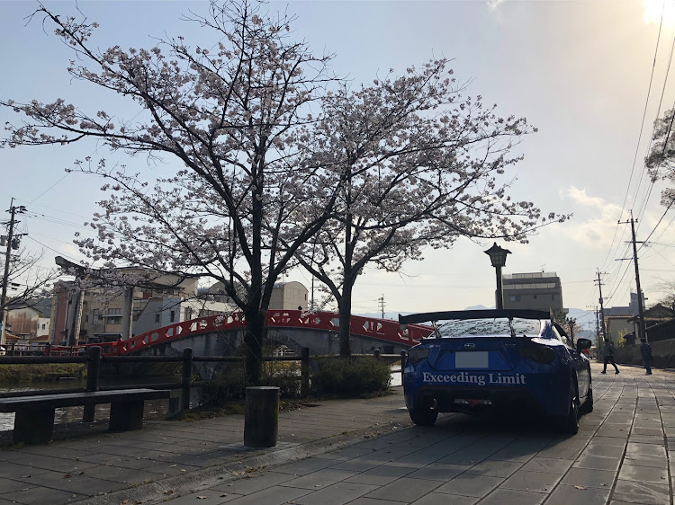 BRZの桜・桜と愛車・熊本に関するカスタム事例の投稿画像2枚目