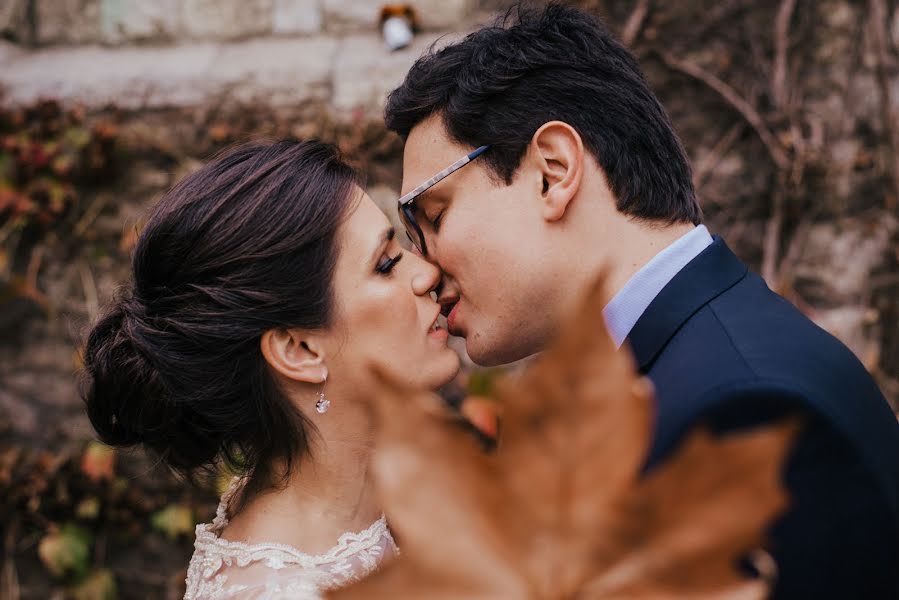 Wedding photographer Bojan Sučević (brankaandbojan). Photo of 27 November 2018