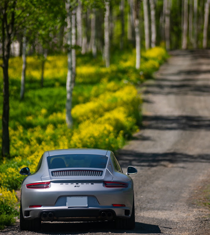 911 クーペのporsche911・北海道・菜の花・カメ活📷・discover＿ctに関するカスタム事例の投稿画像1枚目