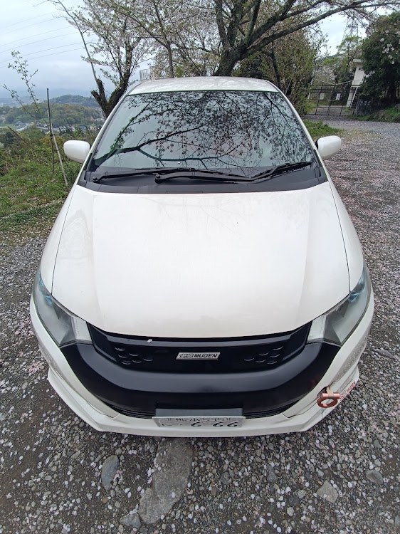 インサイトのシビック・タイプR・FK2・DIY・サクラと愛車に関するカスタム事例の投稿画像14枚目