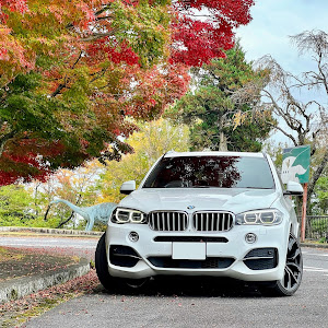 X5 xDrive 35d