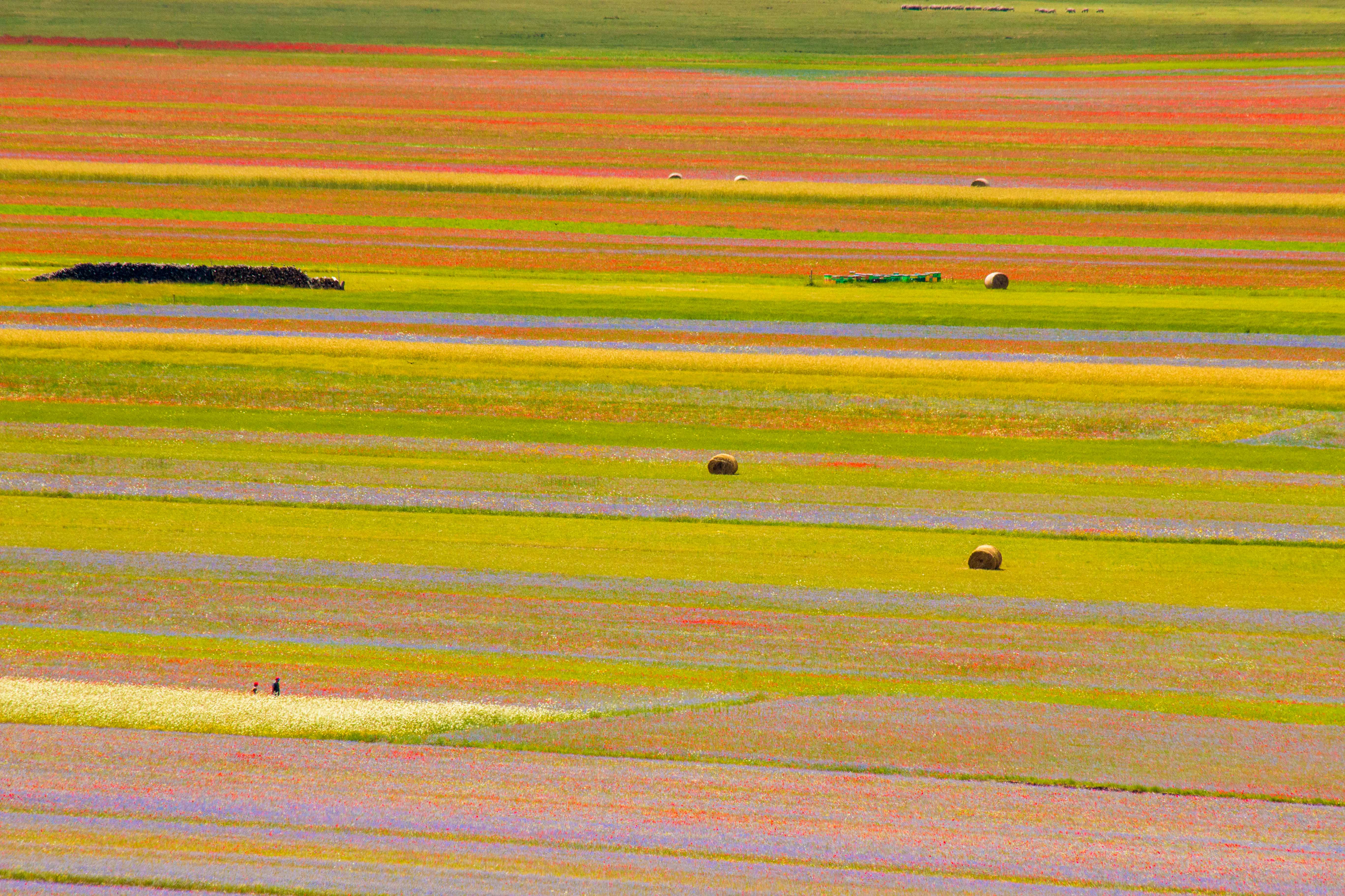 Castelluccio di Andrea Calò