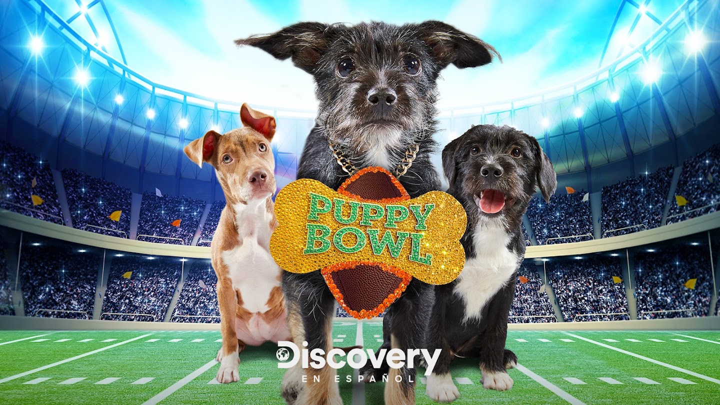 Puppy Bowl XVII