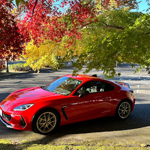 BRZ ZD8