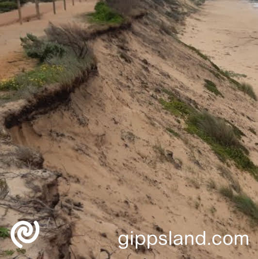 This area has seen rapid wave erosion in recent times, which has already impacted public assets such as beach access tracks and the Bass Coast Rail Trail
