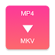 Download MP4 to MKV Converter For PC Windows and Mac 3.0