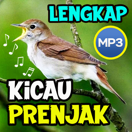 Kicau Burung Prenjak Lengkap