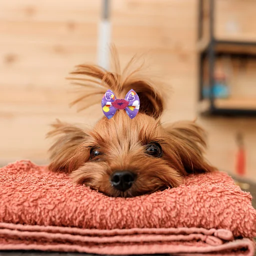50/100Pcs Valentine's Day Dog Hair Bows With Rubber Bands Lovely Pets Hair Grooming Bows Girls Dogs Cat Hair Bowknot Acc
