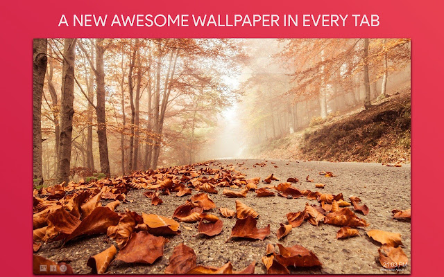Fall Wallpaper HD Custom New Tab