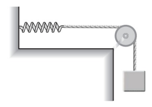 Spring-mass system