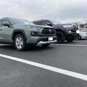 RAV4