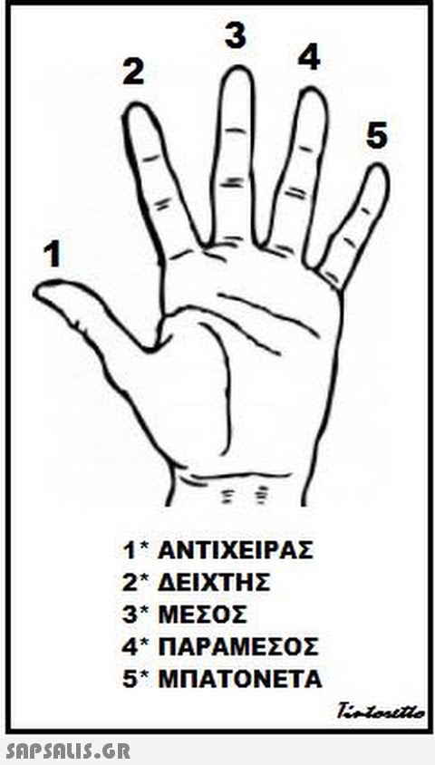 3 2 C 4. 5 1 ΑΝΤΙΧΕΙΡΑΣ 2 ΔΕΙΧΤΗΣ 3° ΜΕΣΟΣ 4° ΠΑΡΑΜΕΣΟΣ 5° ΜΠΑΤΟΝΕΤΑ